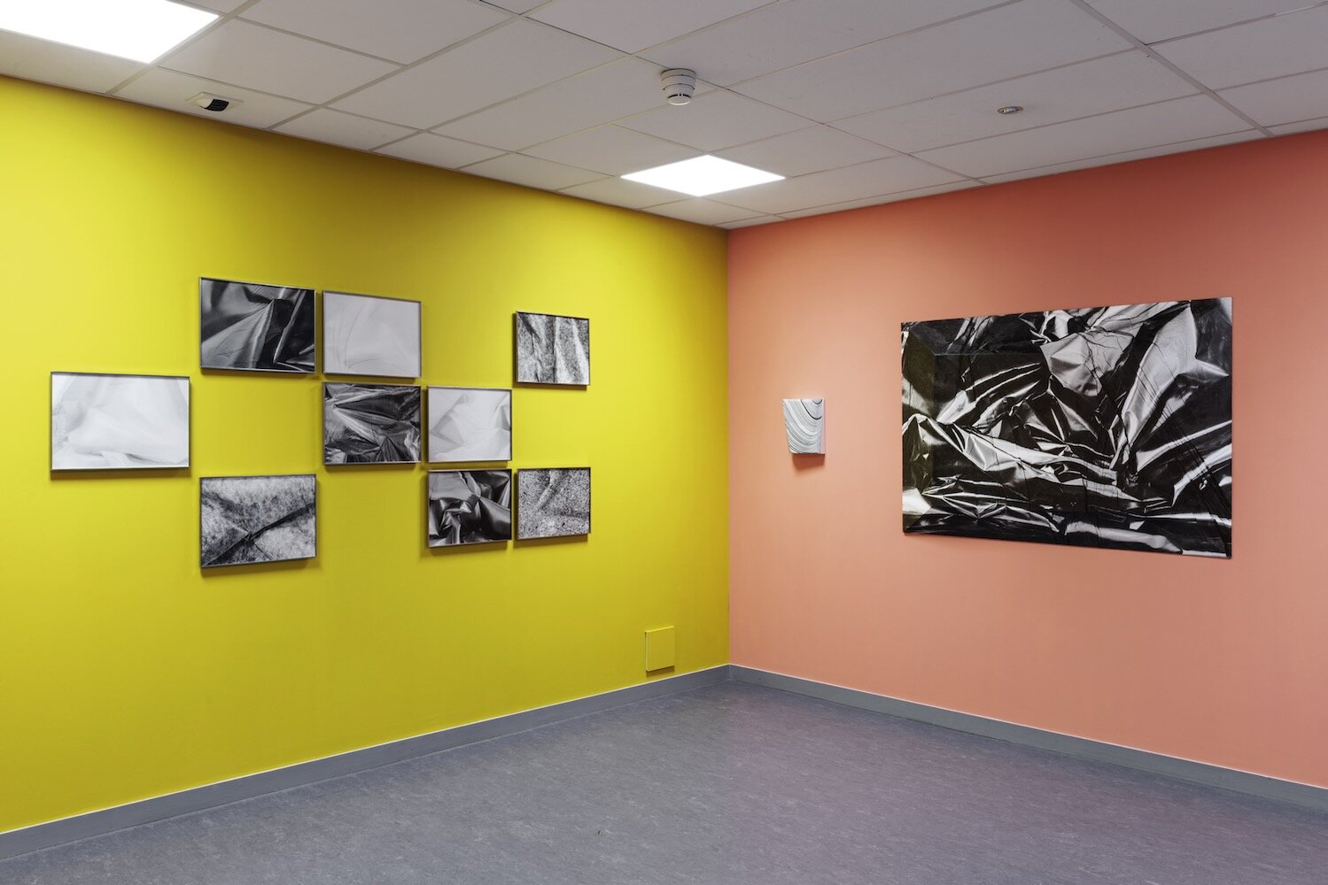 Membranes — photo 2